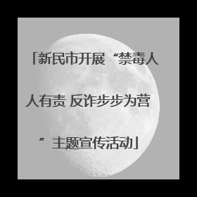 新民市开展“禁毒人人有责 反诈步步为营”主题宣传活动